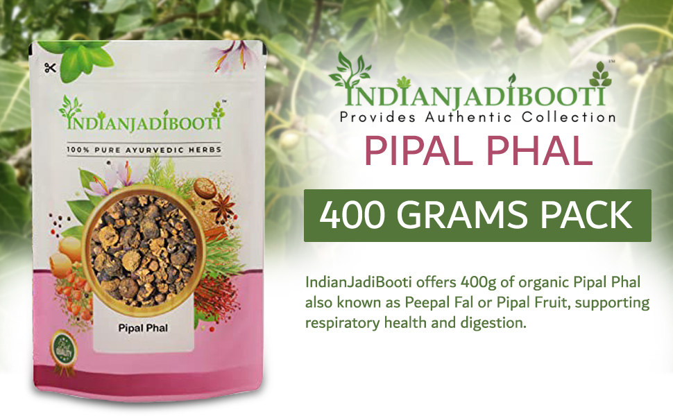 IndianJadiBooti Pipal Phal - Peepal Fal - Pipal Fruit - Ficus religiosa, 400 Grams Pack