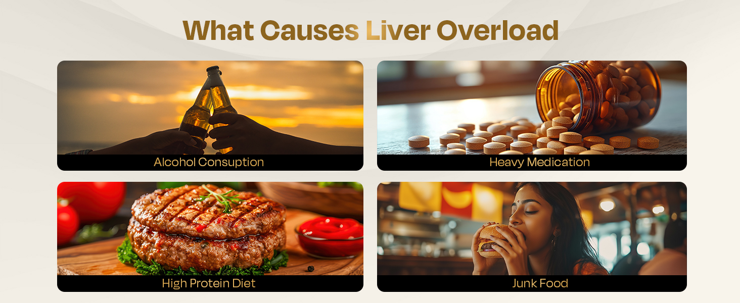 Auric Liver Detox Effervescent Tablets | Supports Fatty Liver Management & Liver Health | 9 botanical extract blend with Milk Thistle (Silymarin), Turmeric, Ginger & Licorice | Indian blackberry flavour | 60 Tablets