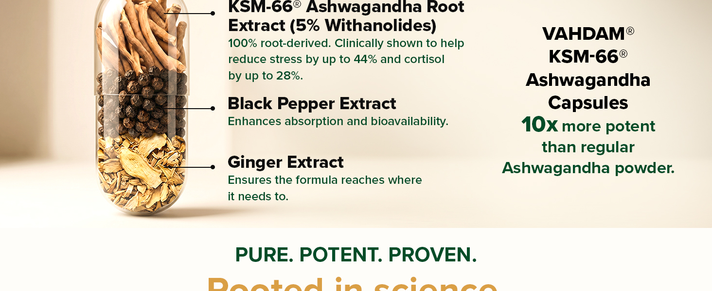 VAHDAM KSM-66 Ashwagandha Capsules | 600mg Root Extract, 5% Withanolides | Supports Stress, Cortisol & Stamina | 60 Veg Capsules