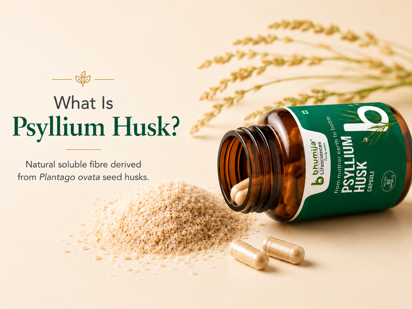 Bhumija Lifesciences Isabgol Psyllium Husk Natural Fiber 60 caps