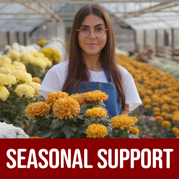 2 Pack - JOYLI Quercetin Gummies with Bromelain, Zinc, Vitamin C & D3 – Sugar-Free Quercetin Supplement for Immune Support & Seasonal Wellness – 500mg Quercetin for Kids & Adults – 60 Gummies per Pack