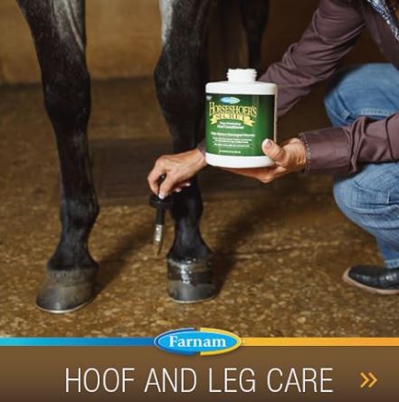 Farnam Super 14 Healthy Skin & Coat Supplement for Horses, Keeps Coats Shiny & Gleaming Year-Round 2.75 Pound, 44 Day Supply
