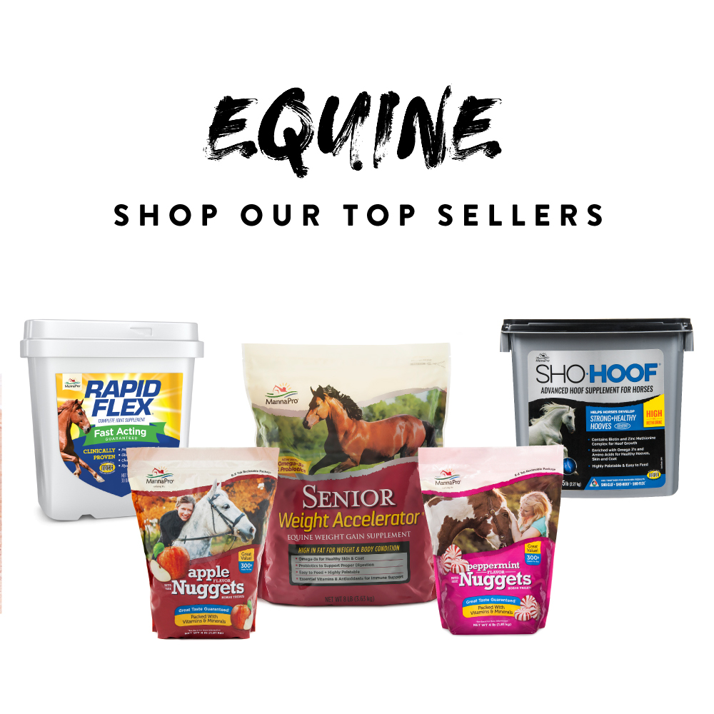 Manna Pro AccuBites Radiance Equine Supplement, 7.5 lb