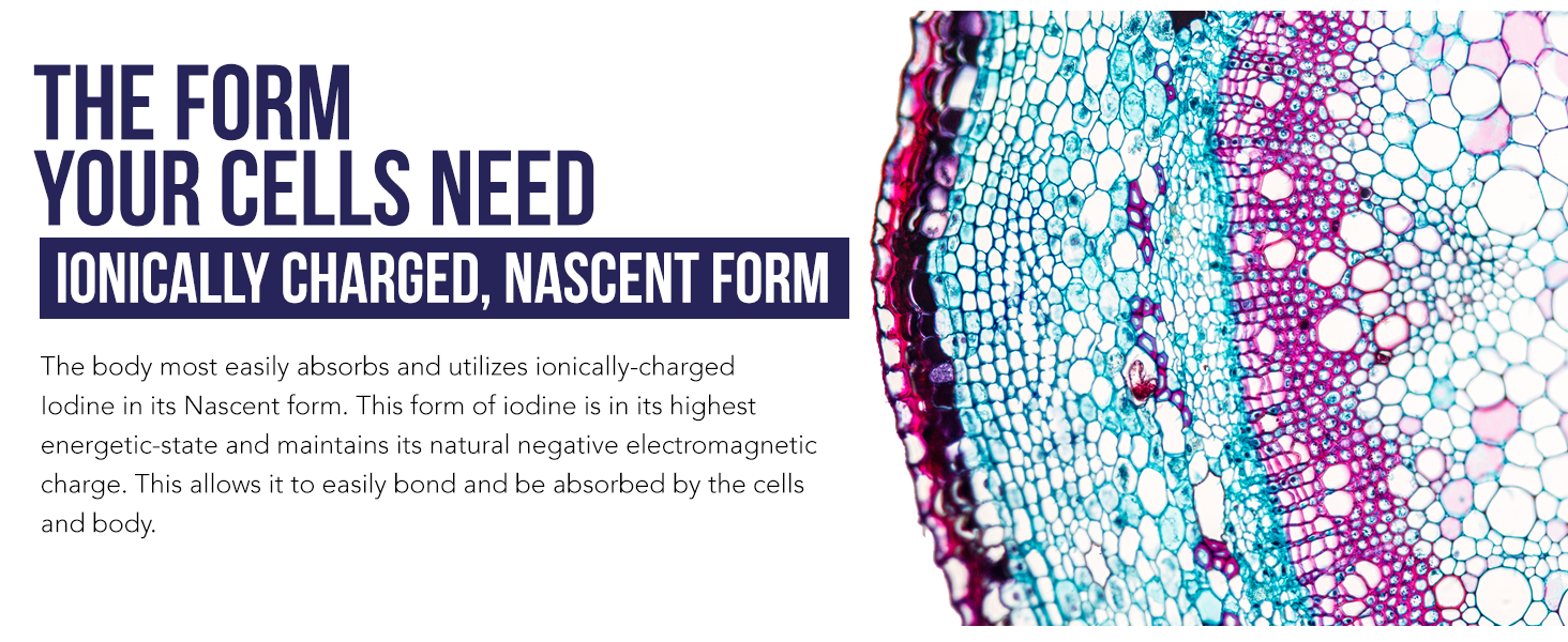 Nascent Iodine Supplement, 400 Servings, Glass Bottle, Vegan