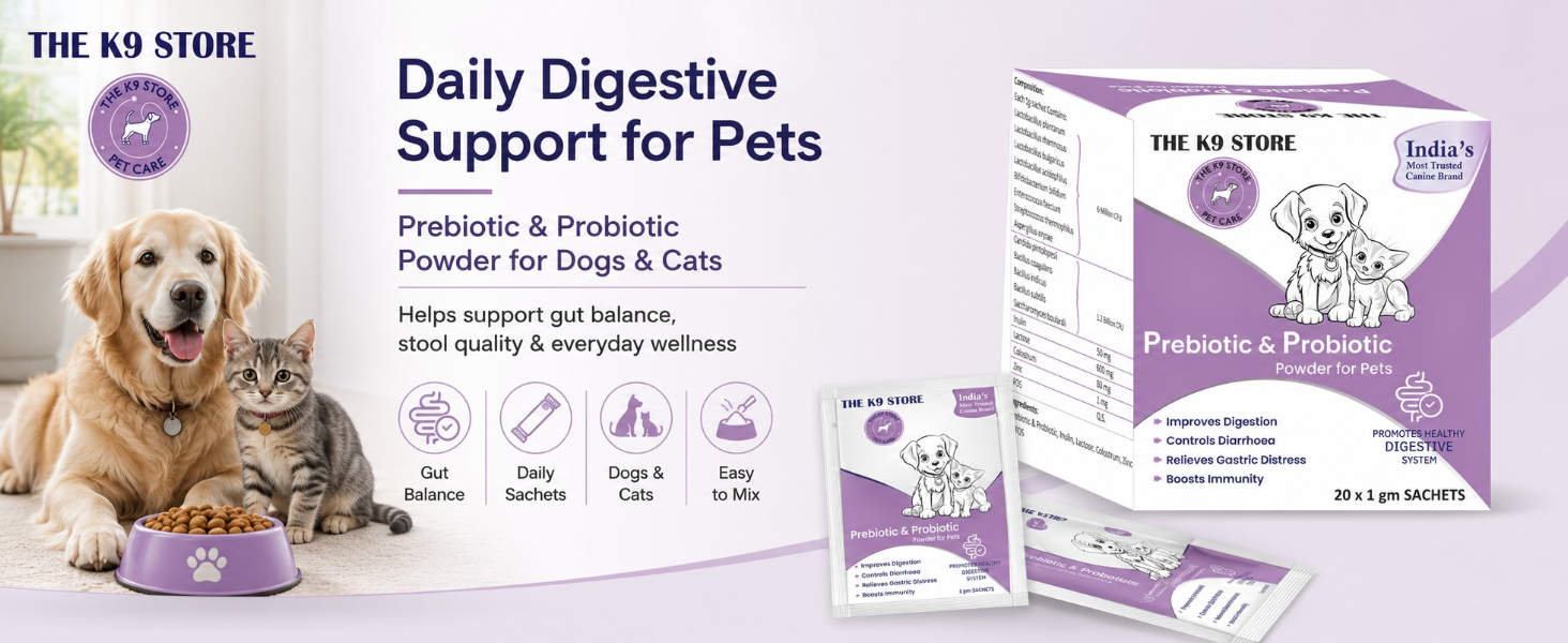 Prebiotics & Probiotics for Dogs & Cats | Gut Health Supplement Powder for Digestive Support | Supports Healthy Digestion, Balanced Gut Flora & Immunity | Dog & Cat Supplement