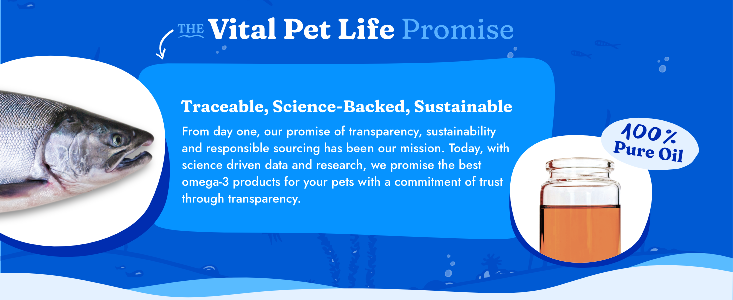 Salmon Oil for Dogs & Cats, Healthy Skin & Coat, Liquid Fish Omega 3, 32 oz