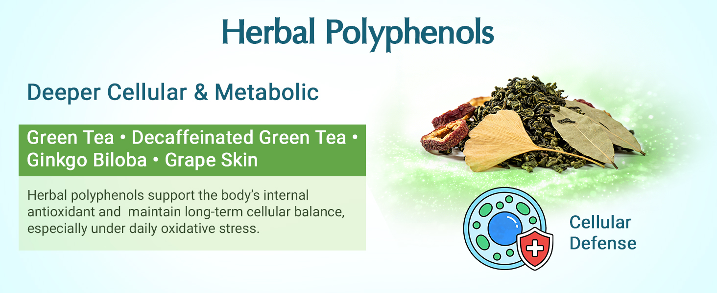 (120 Count) Polyphenols Supplement 1500mg – Over 20 Fruit, Herbal & Cereal Full Spectrum Polyphenol Complex with Resveratrol, Grape Seed & Green Tea – Tri-Color MicroBeadlets – Powerful Antioxidant