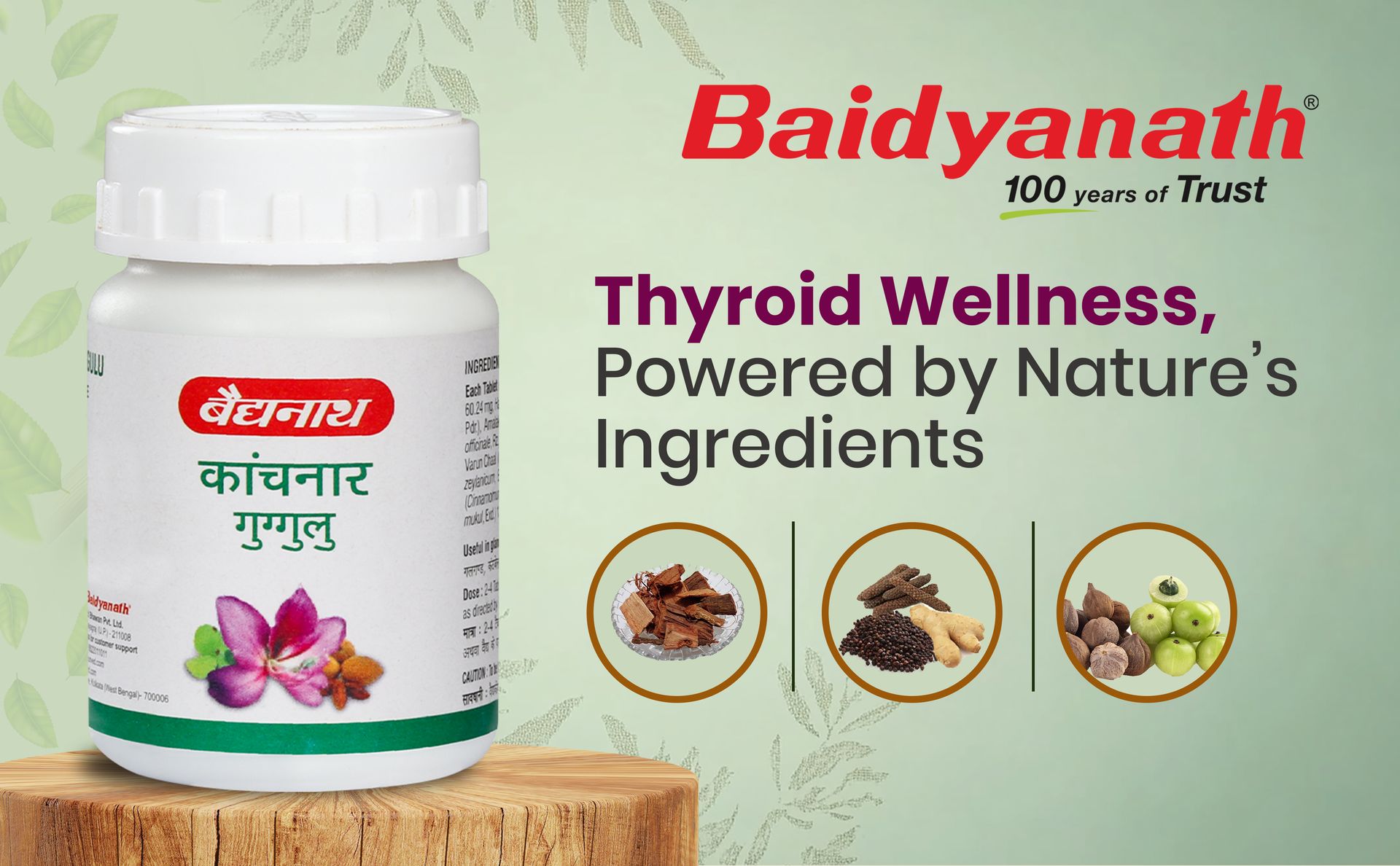 BAIDYANATH AYURVED Kanchnar Guggulu 160 Tablets | An Ayurvedic Formulation | Helpful In Hormonal Imbalance, Joint Pains And Eliminate Toxins