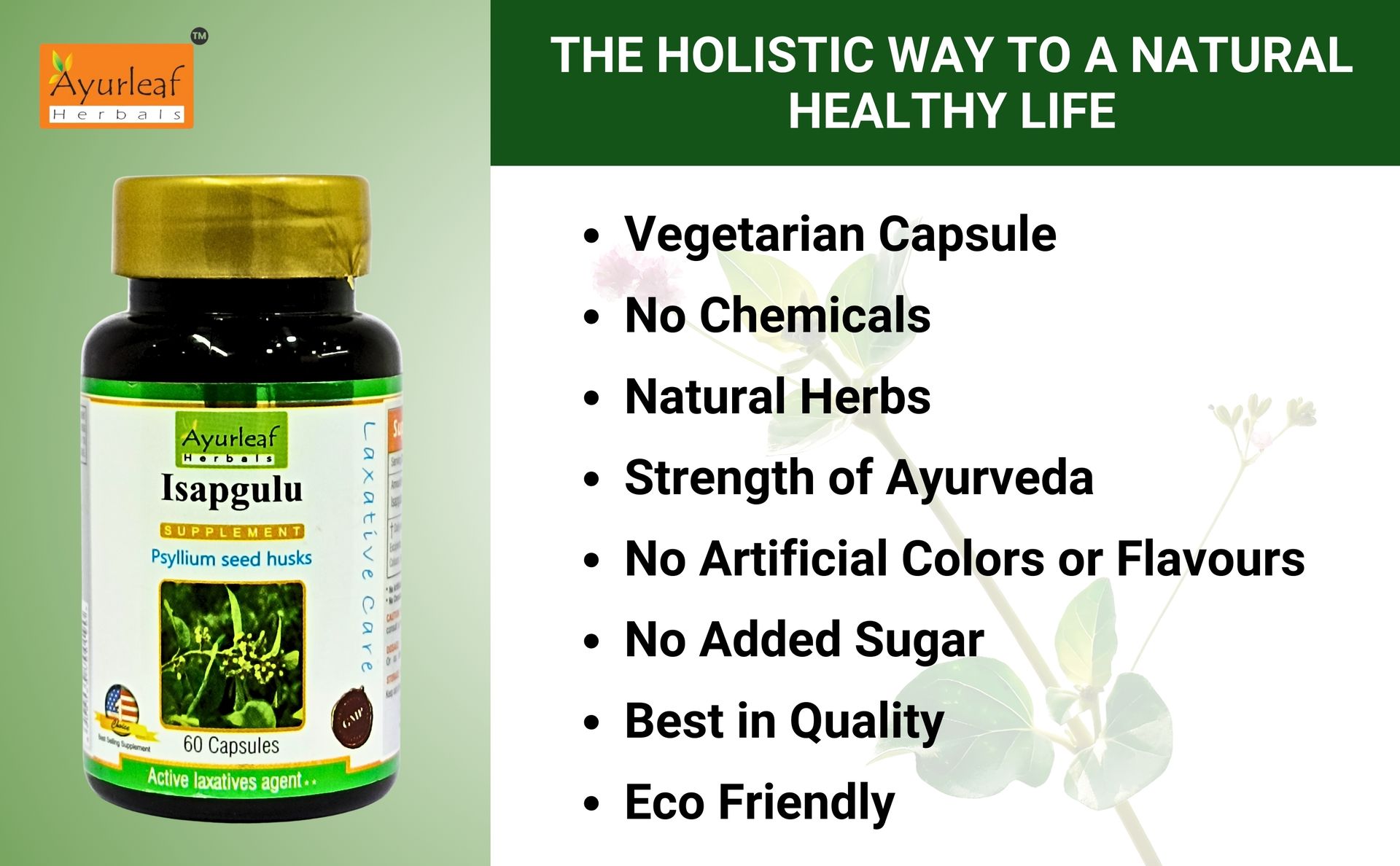 Ayurleaf Herbals Isapgulu Husk Capsules | For Better Digestion, Fiber Supplement & Constipation | 100% Natural Herbal supplement (Pack of 2, 120 Capsules)