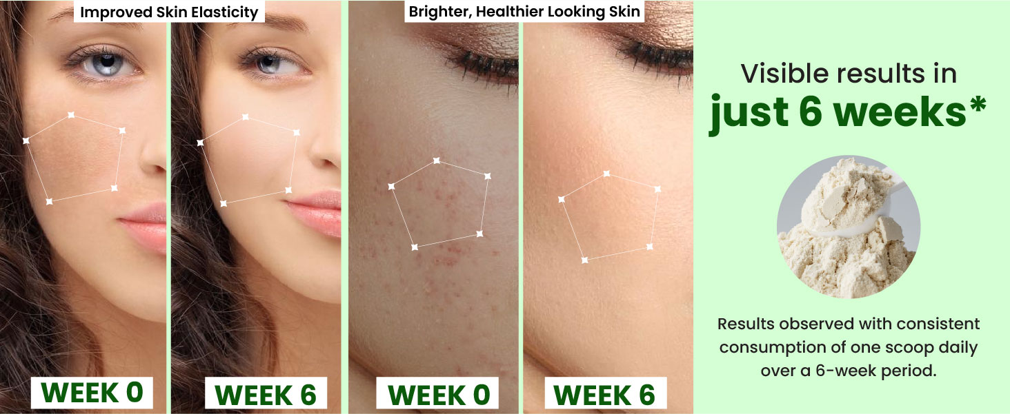 Vlado's Himalayan Organics Vegan Collagen supplements -Advanced Marine Collagen Peptides -with all 5 TYPE I, II, III, V, X - Plant-Based - Active Collagens with Biotin,Hyaluronic Acid ,Vitamin C & E - Healthy Skin, Hair & Nails - Skin Radiance - Clinically Proven - Made with Japanese technology - Reduce Pigmentation, Dark Spots & Brighten Skin Tone - For Women & Men - 100 Grams ( Watermelon Flavor )