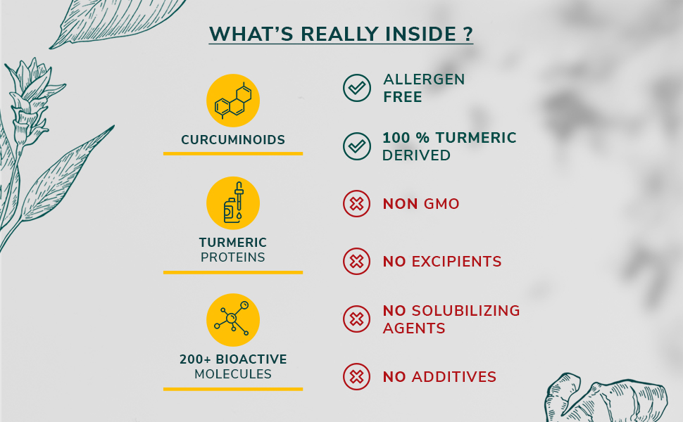 Pureveda Super Turmeric - All Natural Curcumin Capsule - 10x Bioavailability - 7 Clinical Trials - Reduce Inflammation, Boost Immunity - Clean Label Turmeric Capsule (30)