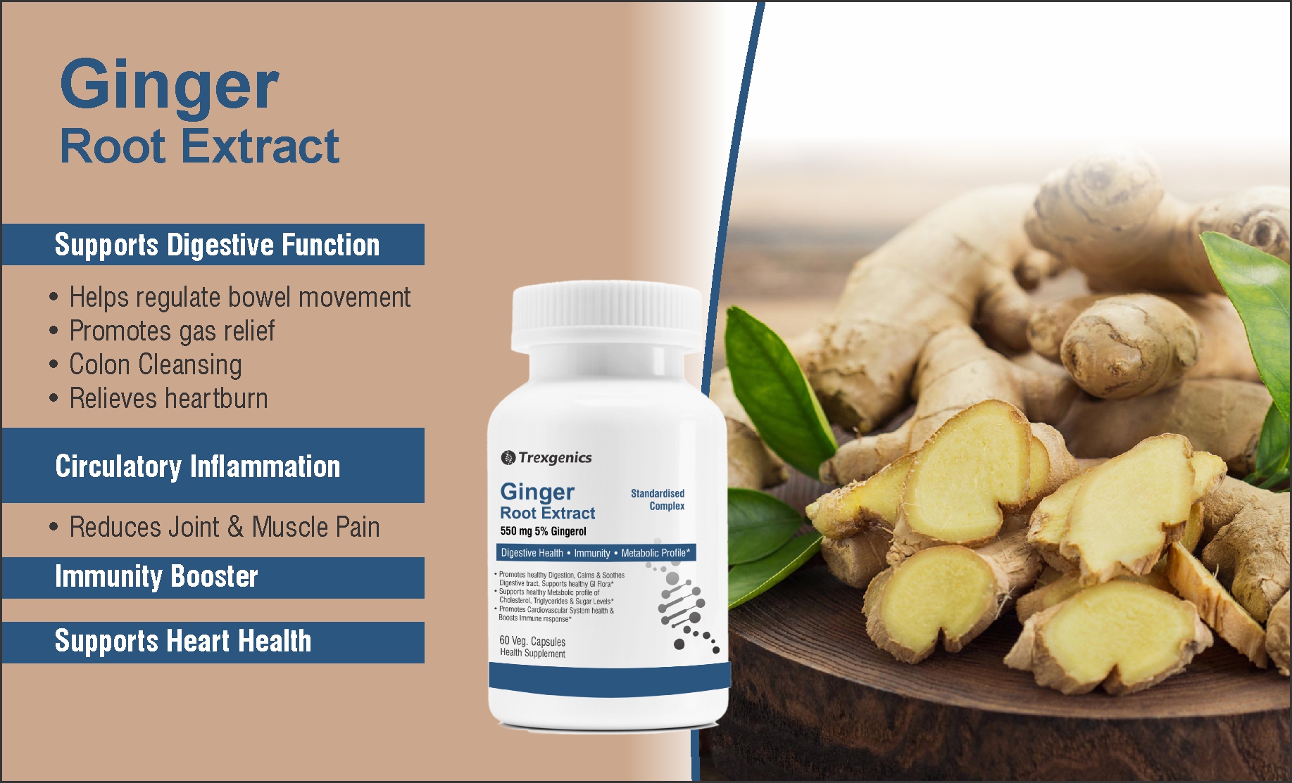 Trexgenics GINGER (Bioactive 5% Gingerol) 550 mg Standardized for Digestive Health, Immunity, Metabolic Profile, Immunity Support (60 Vcaps) (1)