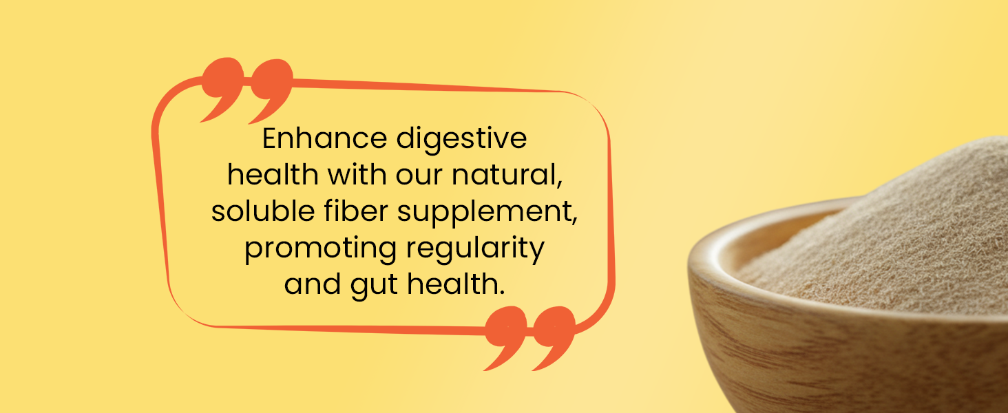 Baidyanath Asli Ayurved Isabgol - Psyllium Husk Powder 200gm (Pack of 2) Boosts Digestion | Constipation Relief Naturally | Rich Source Of Dietary Fiber Supplement - Premium Quality