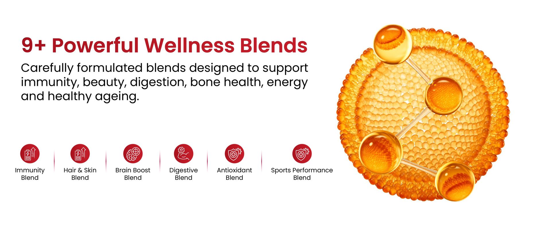 Vlado’s Himalayan Organics Liposomal Multivitamin for Women with 75+ Ingredients | Vitamin B1, B2, B3, B5, B6, B9, B12, C, D3, E, K2, Biotin, Calcium, Magnesium, Iron, Zinc | 9+ Powerful Blends | Energy, Immunity, Hair Skin & Nails Support | 60 Veg Capsules
