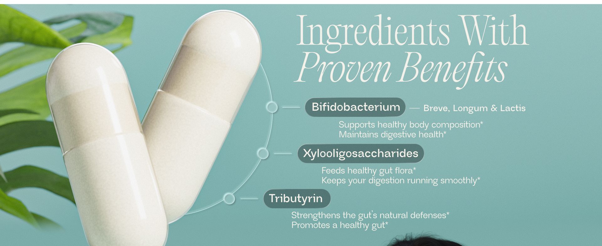 BIOMA Probiotics - Digestive Health Probiotic - Gut Support for Men & Women with Xylooligosaccharides, Tributyrin & Bifidobacterium - Vegan & Gluten Free - 60 Delayed-Release Capsules (30-Day Supply)