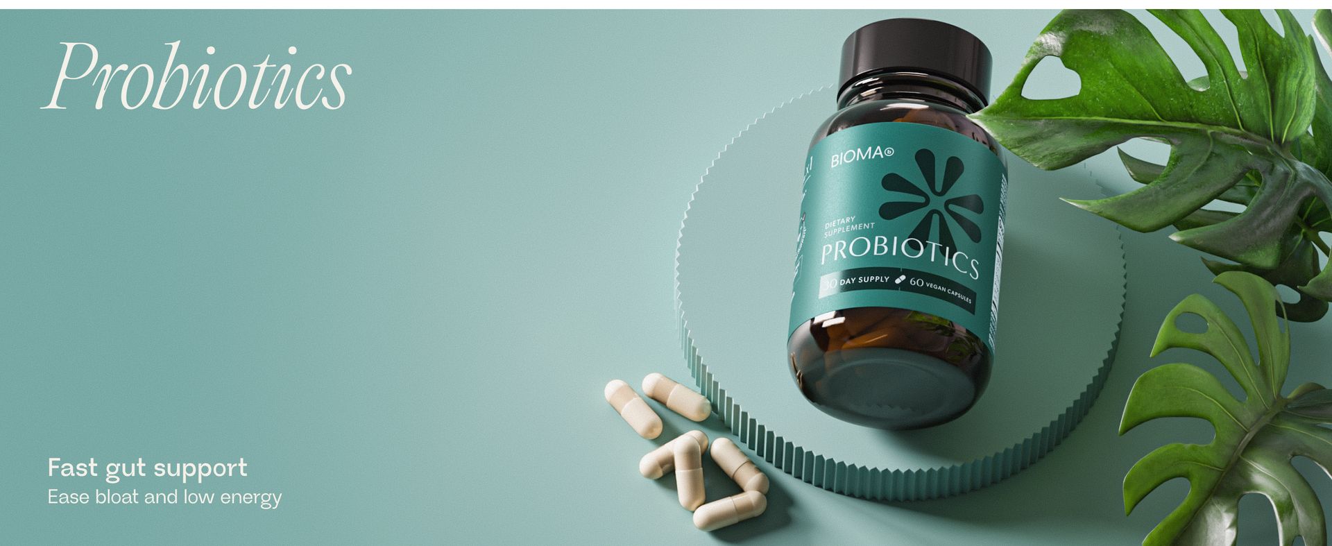 BIOMA Probiotics - Digestive Health Probiotic - Gut Support for Men & Women with Xylooligosaccharides, Tributyrin & Bifidobacterium - Vegan & Gluten Free - 60 Delayed-Release Capsules (30-Day Supply)