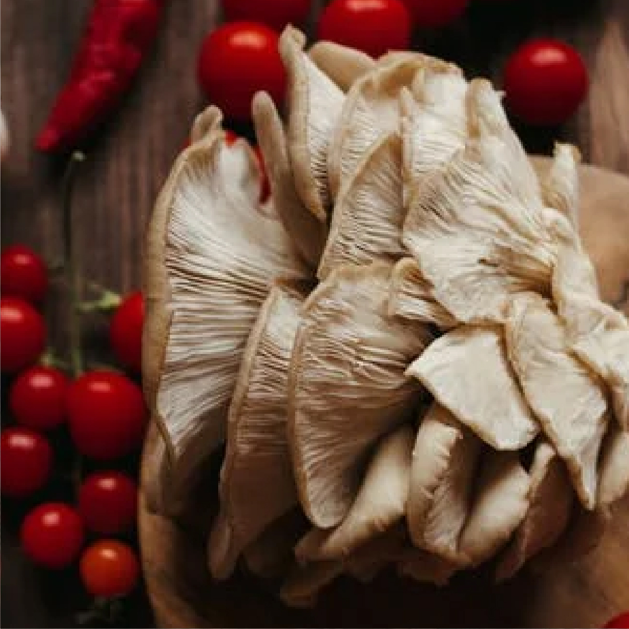 Voila Premium Dried Oyster Mushrooms 100g | High Protein | Gluten-Free | Natural Dehydrated Mushrooms | High Protein & High Fiber | Gluten Free | No Artificial Colors or Preservatives | Ideal for Soups, Stir Fry, Pasta & Asian Recipes. (5G Protein per 20 gm)