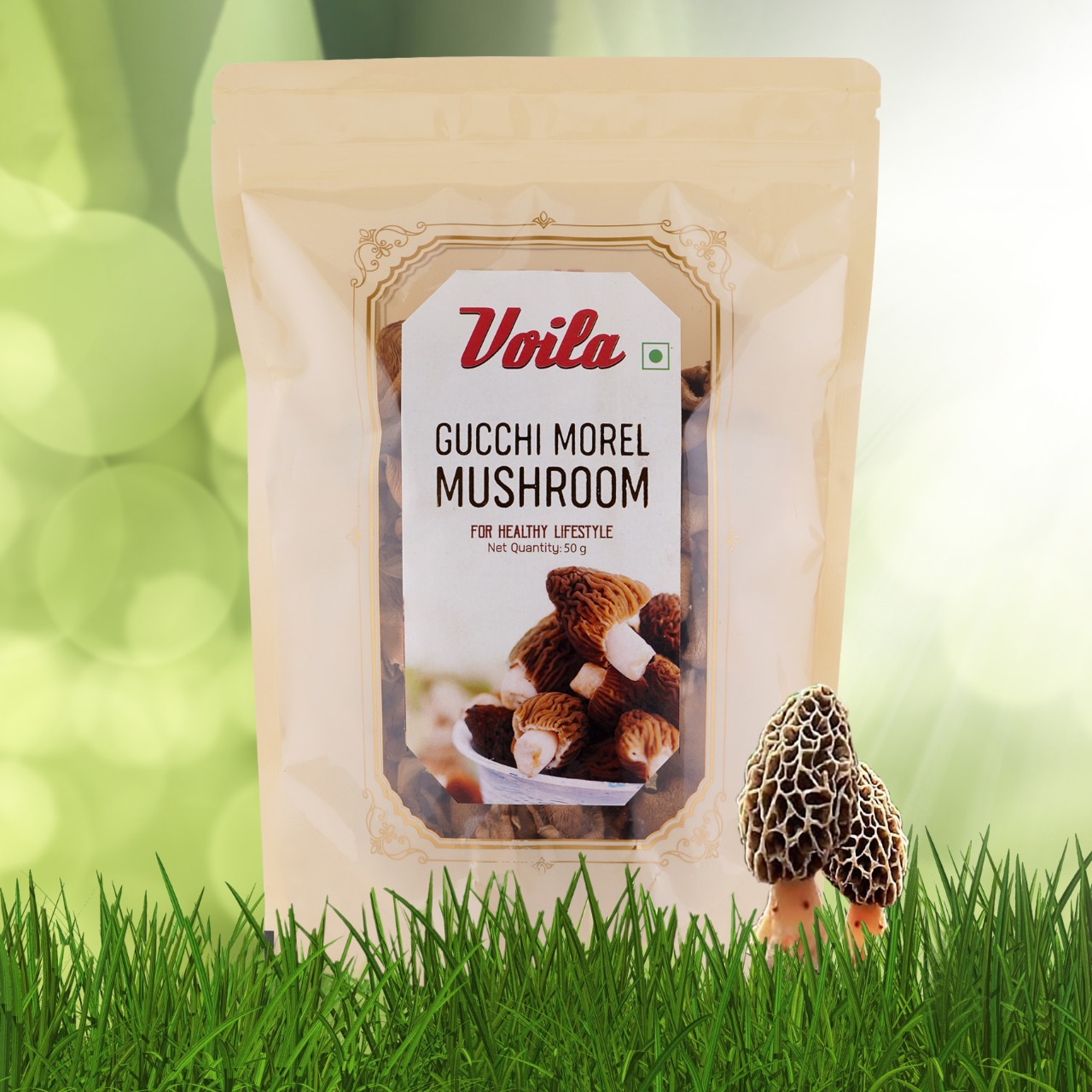 Voila Premium Dried Oyster Mushrooms 100g | High Protein | Gluten-Free | Natural Dehydrated Mushrooms | High Protein & High Fiber | Gluten Free | No Artificial Colors or Preservatives | Ideal for Soups, Stir Fry, Pasta & Asian Recipes. (5G Protein per 20 gm)