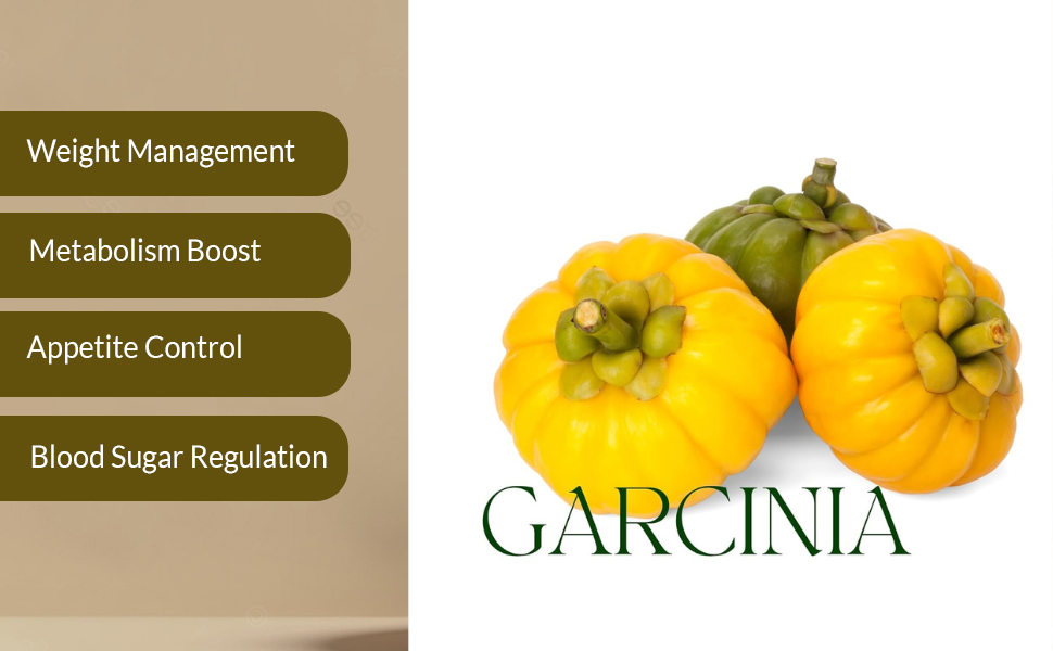 Herbal Hills Garcinia Cambogia Powder (1kg Pack of 1) | Supports Appetite Control | Garcinia Churna For Fat Metabolism & Body Detox | With Garcinia Cambogia Extract