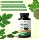 pure-moringa-capsules-pure-moringa-leaf--3.jpg