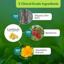 vital-plan-gut-balance-supplement-by-dr--4.jpg