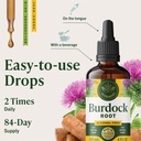 herbamama-burdock-root-lymphatic-drainag-6.jpg