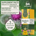 herbamama-burdock-root-lymphatic-drainag-3.jpg