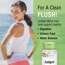 solaray-juniper-berry-450-mg-healthy-dig-4.jpg