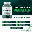 cistanche-tubulosa-with-fadogia-agrestis-3.jpg