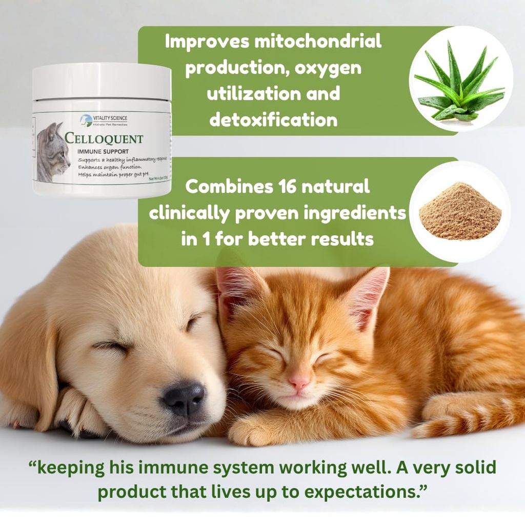 vitality-science-celloquent-for-cats-enh-3.jpg