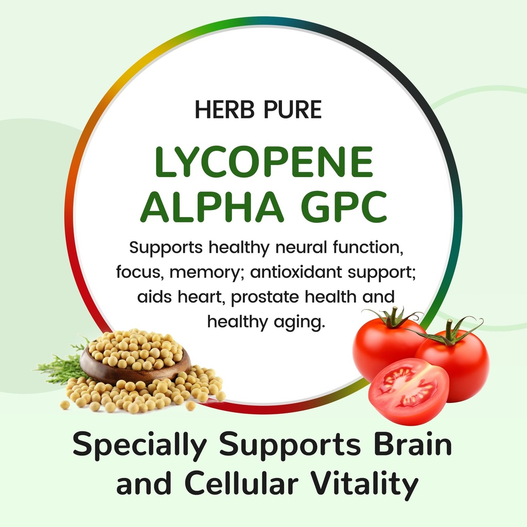 multi-vitamin-complex-daily-multivitamin-6.jpg