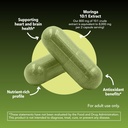 moringa-capsules-800mg-per-serving-morin-5.jpg