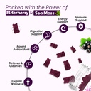 elderberry-gummies-with-sea-moss-bladder-3.jpg