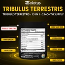 zolotus-13in1-tribulus-terrestris-capsul-6.jpg
