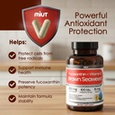 miut-fucoxanthin-brown-seaweed-extract-s-6.jpg