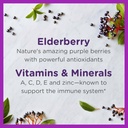 zarbee-s-elderberry-gummies-for-kids-wit-4.jpg