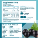hyland-s-kids-organic-elderberry-plus-gu-2.jpg