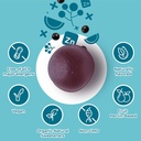 hyland-s-kids-organic-elderberry-plus-gu-6.jpg