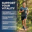 clean-nutra-probiotics-for-men-tongkat-a-2.jpg