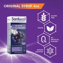 sambucol-black-elderberry-syrup-black-el-2.jpg