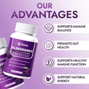 elvera-elderberry-3-in-1-gut-support-com-4.jpg