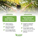 b-leaf-nature-moringa-berberine-bundle-n-4.jpg