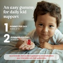 vita-globe-kids-multivitamin-gummies-wit-4.jpg