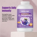 immune-support-gummies-elderberry-vitami-2.jpg