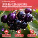 elderberry-immune-gummies-daily-immune-s-2.jpg
