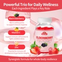 elderberry-immune-gummies-daily-immune-s-3.jpg