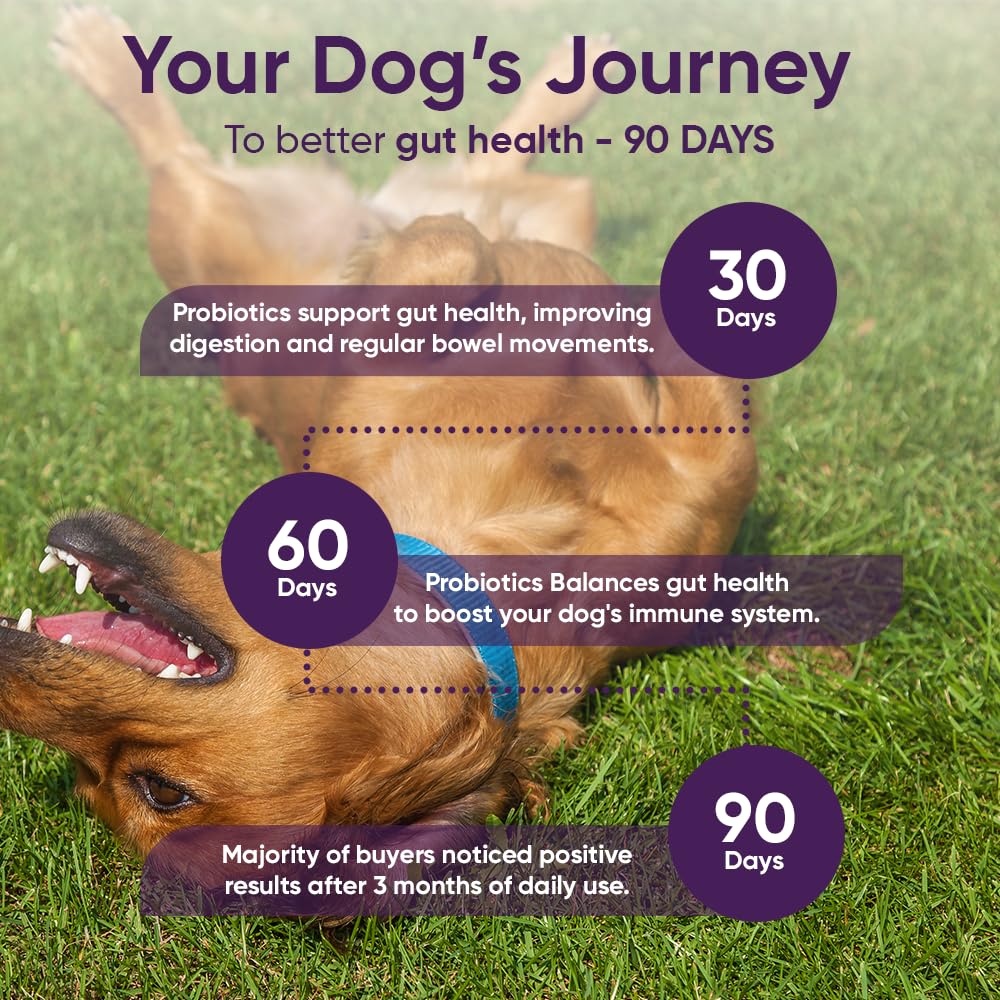 iheartdogs-3-in-1-probiotic-for-dogs-wit-5.jpg