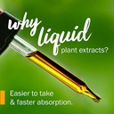 herb-pharm-chaste-tree-liquid-extract-fo-3.jpg