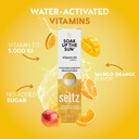 seltz-d-fense-d-light-pack-vitamin-d-imm-2.jpg