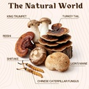 instant-mushroom-coffee-with-lions-mane--3.jpg